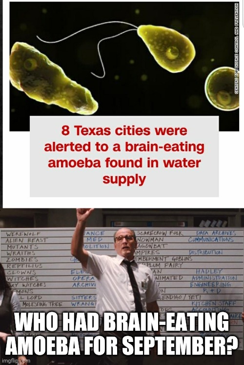Amoebas | WHO HAD BRAIN-EATING AMOEBAS FOR SEPTEMBER? | image tagged in cabin the the woods | made w/ Imgflip meme maker