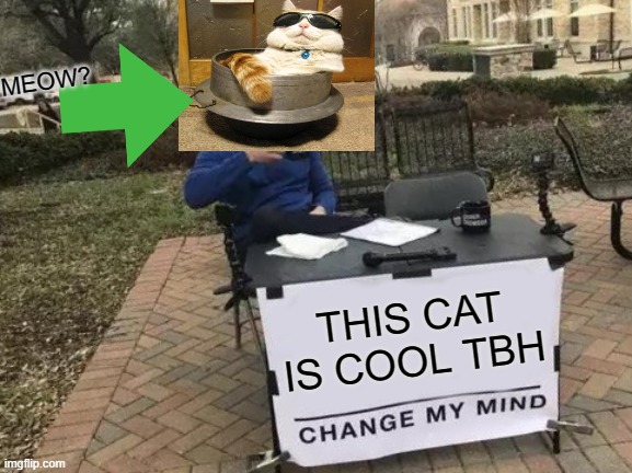 COOL CAT CHANGE MY MIND | MEOW? THIS CAT IS COOL TBH | image tagged in memes,change my mind,cat,cool | made w/ Imgflip meme maker