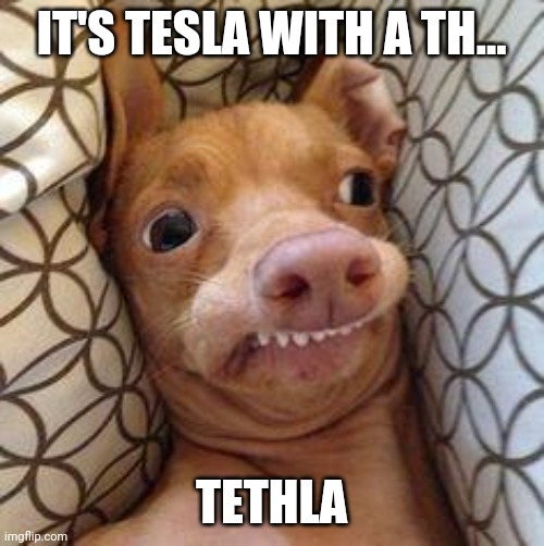 Ph dog | IT'S TESLA WITH A TH... TETHLA | image tagged in ph dog | made w/ Imgflip meme maker