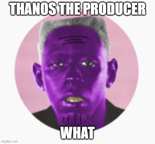 thanos the producer | THANOS THE PRODUCER; WHAT | image tagged in funny | made w/ Imgflip meme maker