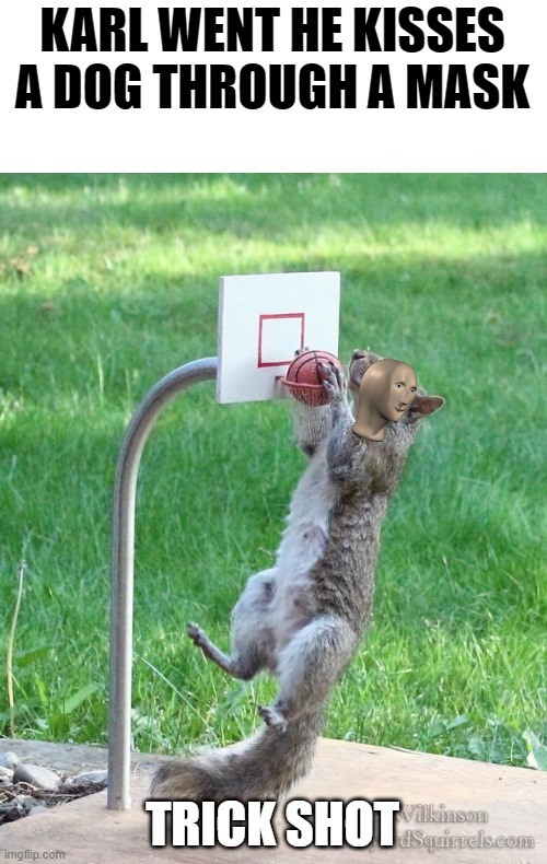 Squirrel basketball | KARL WENT HE KISSES A DOG THROUGH A MASK; TRICK SHOT | image tagged in squirrel basketball | made w/ Imgflip meme maker