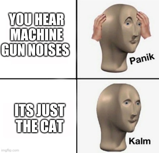 panik kalm |  YOU HEAR MACHINE GUN NOISES; ITS JUST THE CAT | image tagged in panik kalm | made w/ Imgflip meme maker