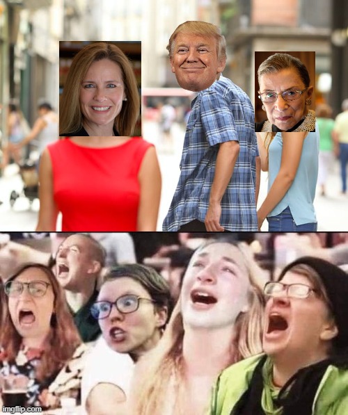 President Trump Finds a New Supreme Court Justice! | image tagged in distracted boyfriend,stupid liberals | made w/ Imgflip meme maker