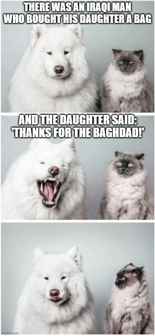 Dog telling cat joke | THERE WAS AN IRAQI MAN WHO BOUGHT HIS DAUGHTER A BAG; AND THE DAUGHTER SAID: 'THANKS FOR THE BAGHDAD!' | image tagged in dog telling cat joke,funny,dogs,memes,cats,meme | made w/ Imgflip meme maker
