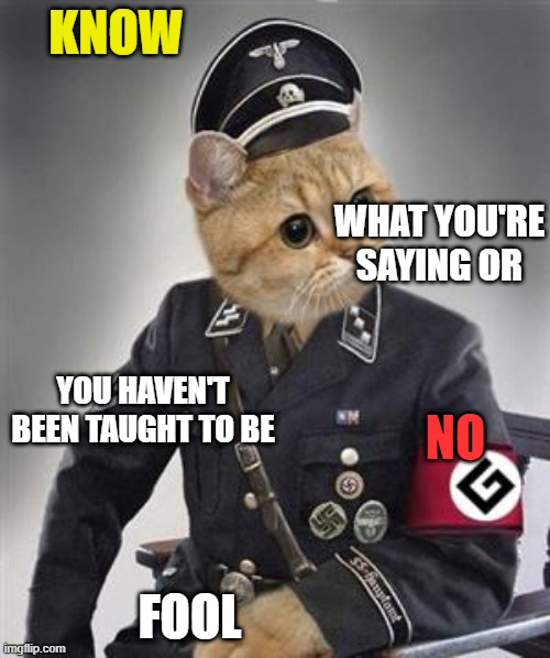 Grammar Nazi Cat | KNOW; WHAT YOU'RE SAYING OR; YOU HAVEN'T BEEN TAUGHT TO BE; NO; FOOL | image tagged in grammar nazi cat,bad grammar and spelling memes,cats,memes,grammar nazi,funny cat memes | made w/ Imgflip meme maker
