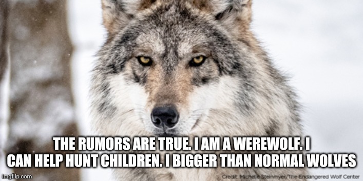 THE RUMORS ARE TRUE. I AM A WEREWOLF. I CAN HELP HUNT CHILDREN. I BIGGER THAN NORMAL WOLVES | image tagged in hehhe | made w/ Imgflip meme maker