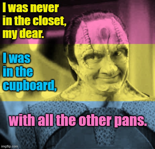 Garak is Pan | I was never in the closet, 
my dear. I was in the 
cupboard, with all the other pans. | image tagged in elim garak,star trek deep space nine,pansexual | made w/ Imgflip meme maker