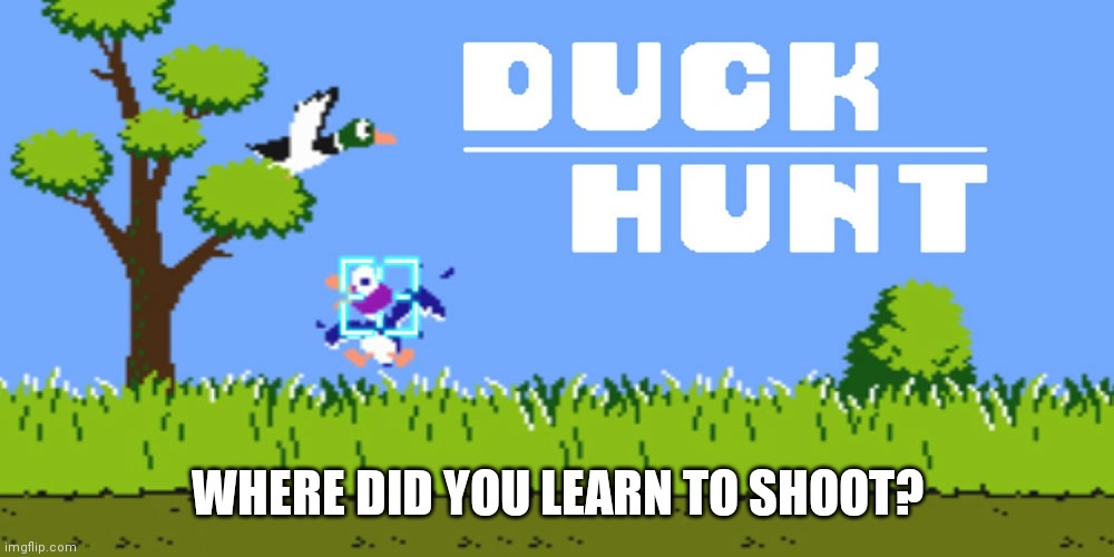 Duck, Duck, Shoot | WHERE DID YOU LEARN TO SHOOT? | image tagged in ducks,video games,duck hunt | made w/ Imgflip meme maker
