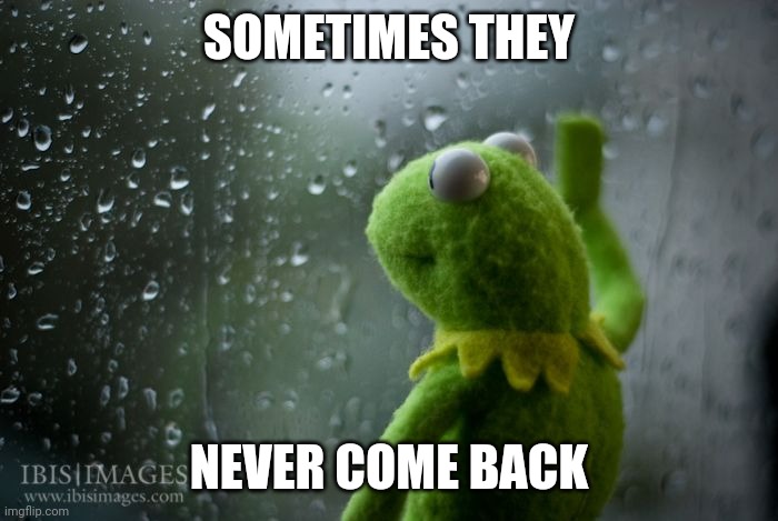 kermit window | SOMETIMES THEY NEVER COME BACK | image tagged in kermit window | made w/ Imgflip meme maker