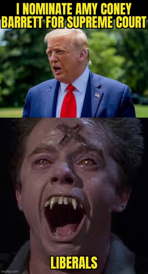 EVIL | image tagged in donald trump,nomination,white supremacy | made w/ Imgflip meme maker