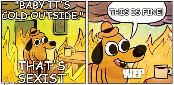 This is Fine (Blank) | "BABY IT'S COLD OUTSIDE." THAT'S SEXIST THIS IS FINE! WEP | image tagged in this is fine blank | made w/ Imgflip meme maker