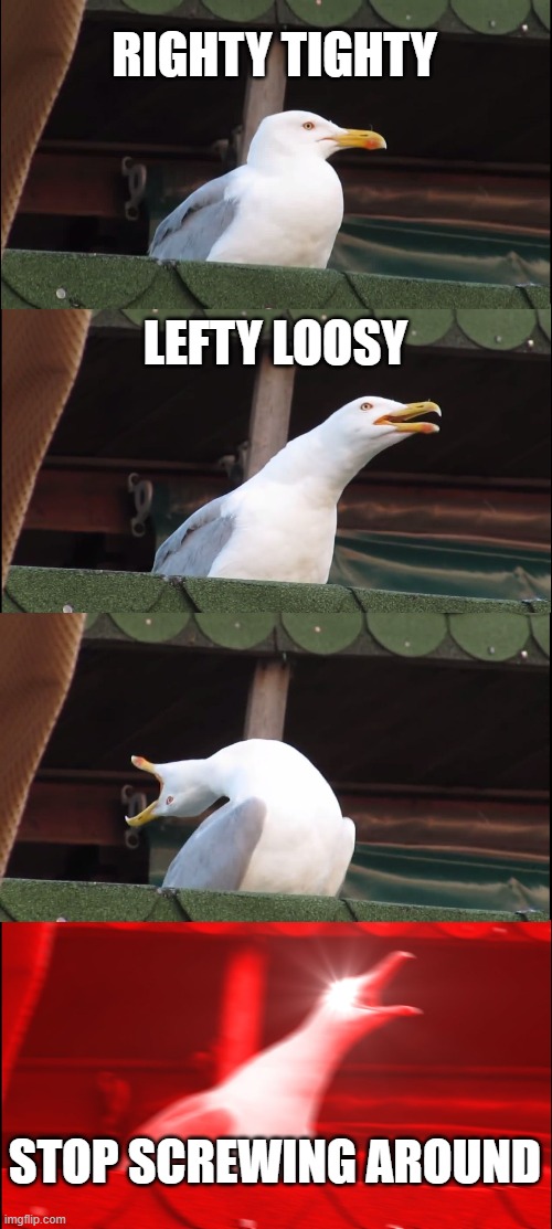Democracy | RIGHTY TIGHTY; LEFTY LOOSY; STOP SCREWING AROUND | image tagged in memes,inhaling seagull | made w/ Imgflip meme maker