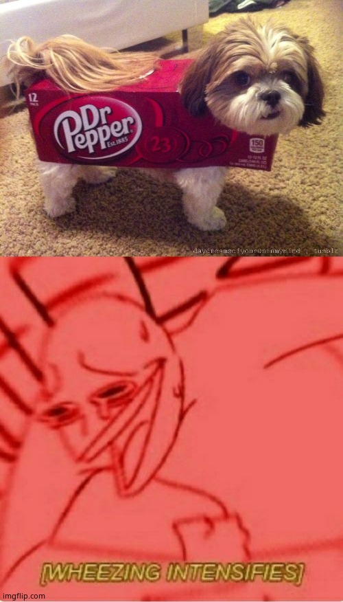 image tagged in dr pepper costume,wheeze | made w/ Imgflip meme maker