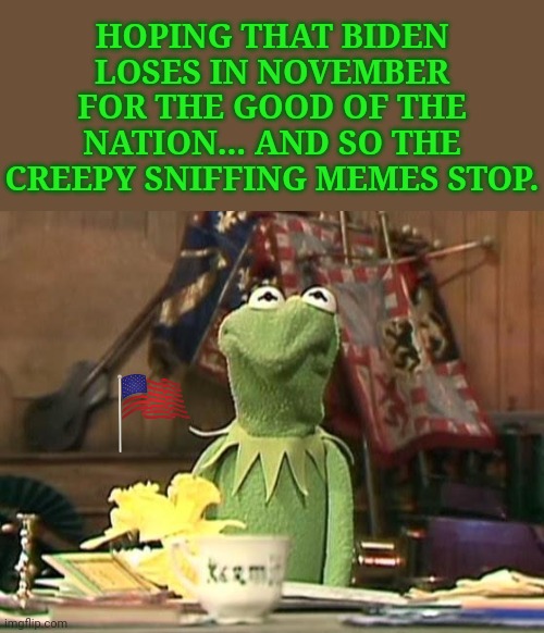 disgusted kermit | HOPING THAT BIDEN LOSES IN NOVEMBER FOR THE GOOD OF THE NATION... AND SO THE CREEPY SNIFFING MEMES STOP. | image tagged in disgusted kermit,memes,joe biden,creepy,sniff,presidential race | made w/ Imgflip meme maker