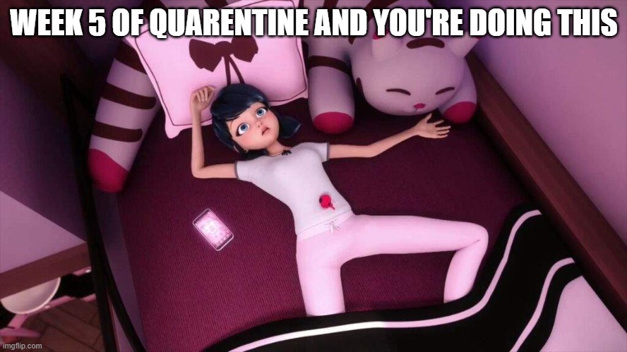 Miraculous Ladybug Marinette In bed | WEEK 5 OF QUARENTINE AND YOU'RE DOING THIS | image tagged in miraculous ladybug marinette in bed | made w/ Imgflip meme maker