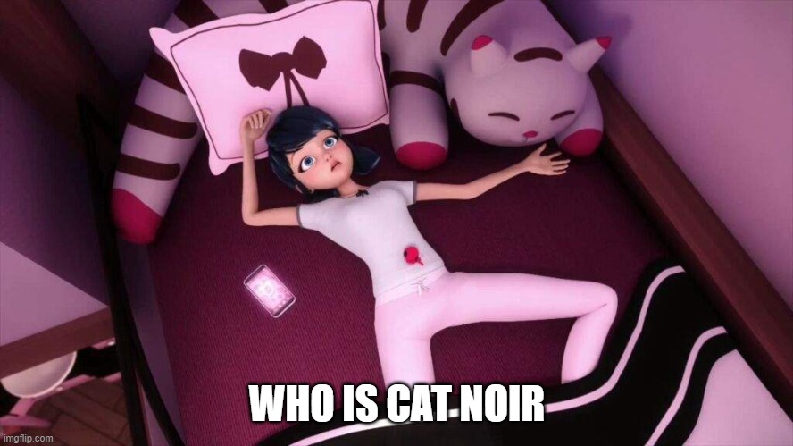 Miraculous Ladybug Marinette In bed | WHO IS CAT NOIR | image tagged in miraculous ladybug marinette in bed | made w/ Imgflip meme maker