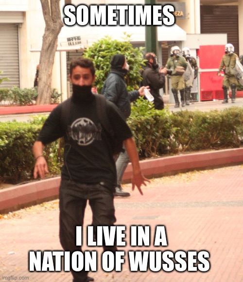 Wussie | SOMETIMES; I LIVE IN A NATION OF WUSSES | image tagged in wussie | made w/ Imgflip meme maker