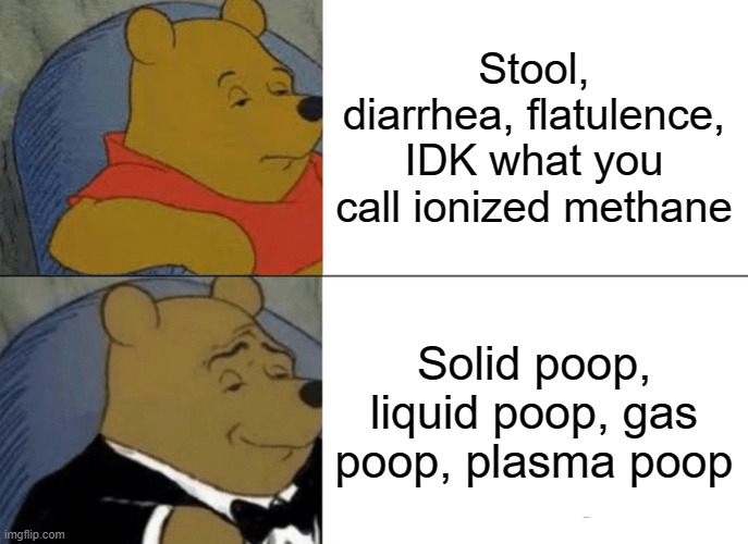 States of matter for poop: | Stool, diarrhea, flatulence, IDK what you call ionized methane; Solid poop, liquid poop, gas poop, plasma poop | image tagged in memes,tuxedo winnie the pooh,flatulence,poop,pooh,liquid | made w/ Imgflip meme maker