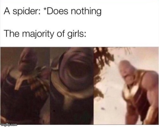 spider | image tagged in spider,girls,memes,funny | made w/ Imgflip meme maker