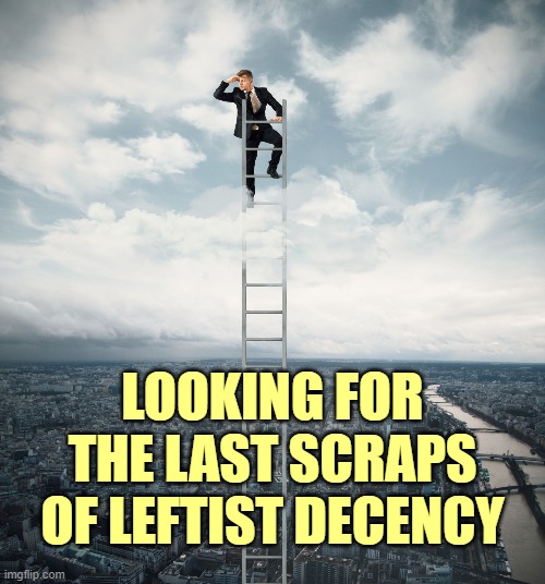 searching | LOOKING FOR THE LAST SCRAPS OF LEFTIST DECENCY | image tagged in searching | made w/ Imgflip meme maker