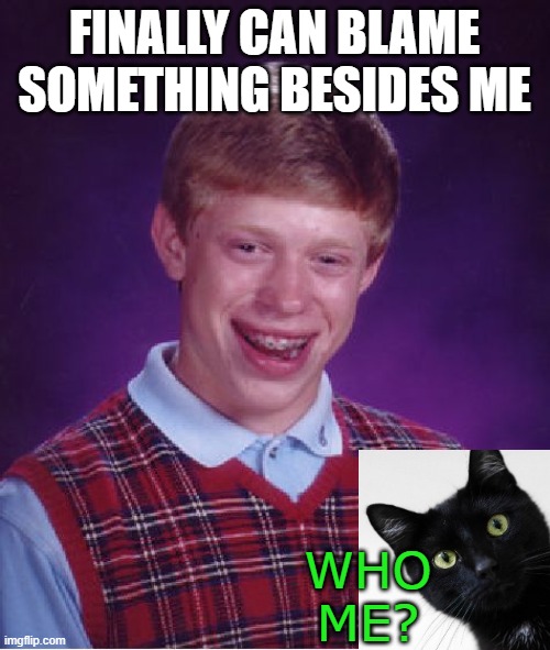 Bad Luck Brian | FINALLY CAN BLAME SOMETHING BESIDES ME; WHO ME? | image tagged in memes,bad luck brian,cat | made w/ Imgflip meme maker