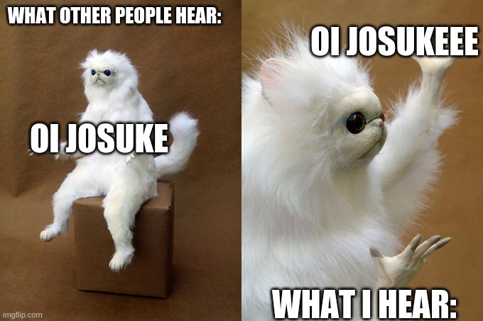 When I listen to a compilation of okuyasu saying Josuke | WHAT OTHER PEOPLE HEAR:; OI JOSUKEEE; OI JOSUKE; WHAT I HEAR: | image tagged in memes,persian cat room guardian | made w/ Imgflip meme maker