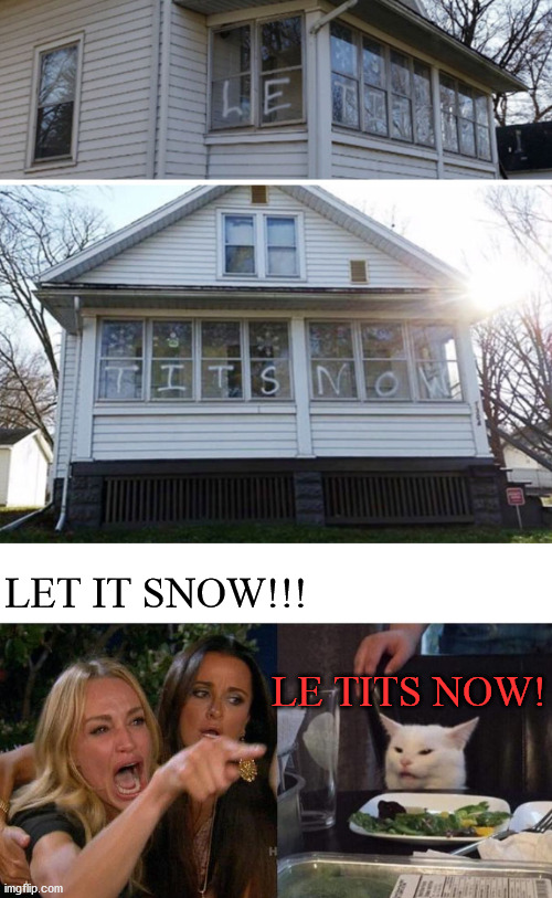 I think whoever made this knew EXACTLY what they were doing...... | LET IT SNOW!!! LE TITS NOW! | image tagged in memes,woman yelling at cat | made w/ Imgflip meme maker