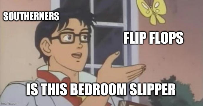 FLIP FLOPS | SOUTHERNERS; FLIP FLOPS; IS THIS BEDROOM SLIPPER | image tagged in is this a pigeon | made w/ Imgflip meme maker