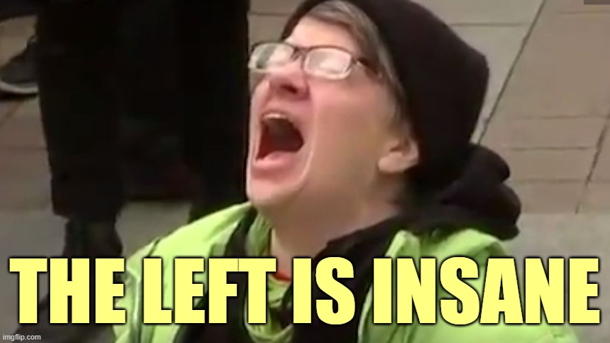 Screaming Liberal  | THE LEFT IS INSANE | image tagged in screaming liberal | made w/ Imgflip meme maker