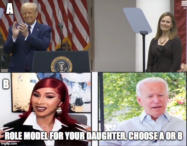 trump acb | A; B; ROLE MODEL FOR YOUR DAUGHTER, CHOOSE A OR B | image tagged in trump acb | made w/ Imgflip meme maker