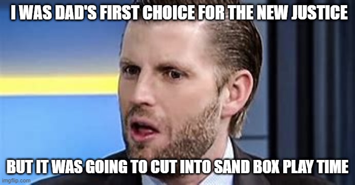 Eric | I WAS DAD'S FIRST CHOICE FOR THE NEW JUSTICE; BUT IT WAS GOING TO CUT INTO SAND BOX PLAY TIME | image tagged in sandbox | made w/ Imgflip meme maker