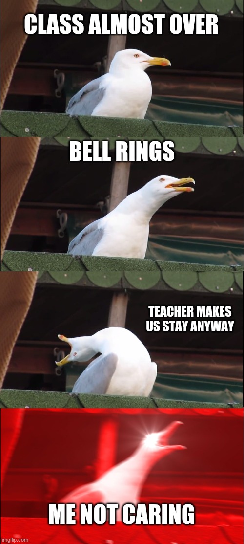 Inhaling Seagull | CLASS ALMOST OVER; BELL RINGS; TEACHER MAKES US STAY ANYWAY; ME NOT CARING | image tagged in memes,inhaling seagull | made w/ Imgflip meme maker