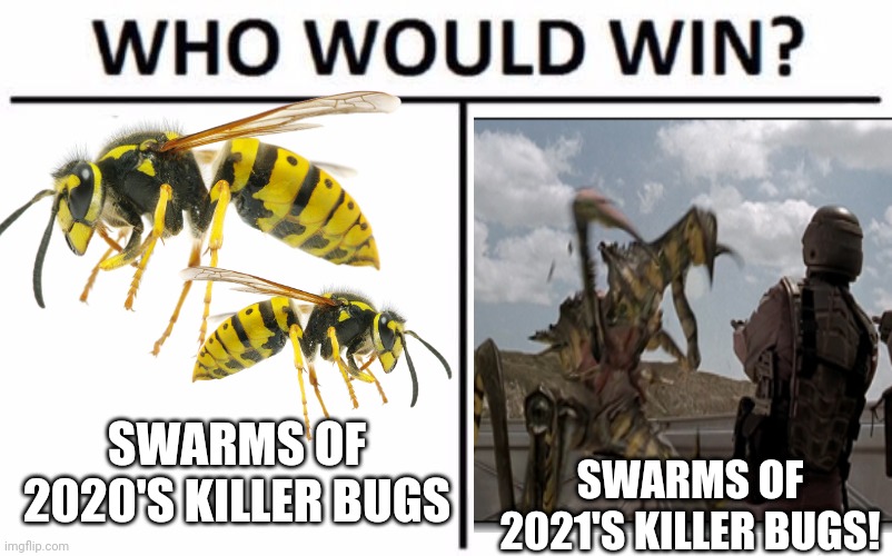 Killer bugs | SWARMS OF 2020'S KILLER BUGS; SWARMS OF 2021'S KILLER BUGS! | image tagged in memes,who would win,bugs,bees,starship troopers | made w/ Imgflip meme maker