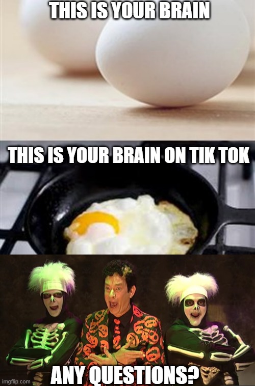 TIK TOK PSA | THIS IS YOUR BRAIN; THIS IS YOUR BRAIN ON TIK TOK; ANY QUESTIONS? | image tagged in david pumpkins,brain brain on drugs egg | made w/ Imgflip meme maker