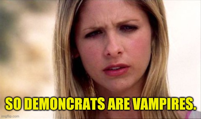 Buffy The Vampire Slayer WTF | SO DEMONCRATS ARE VAMPIRES. | image tagged in buffy the vampire slayer wtf | made w/ Imgflip meme maker