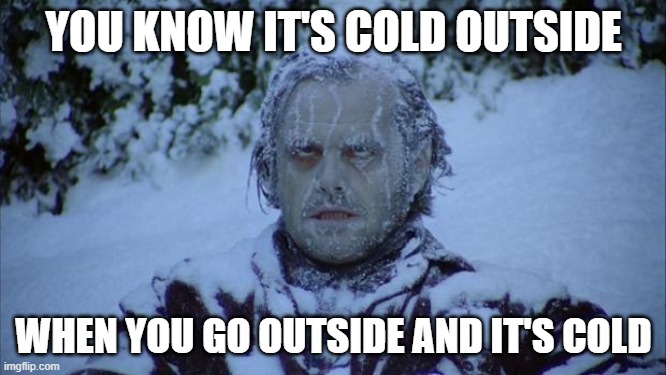 its true tho | YOU KNOW IT'S COLD OUTSIDE; WHEN YOU GO OUTSIDE AND IT'S COLD | image tagged in cold | made w/ Imgflip meme maker