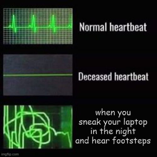 lets hope he's not watching something sketchy | when you sneak your laptop in the night and hear footsteps | image tagged in heartbeat rate | made w/ Imgflip meme maker