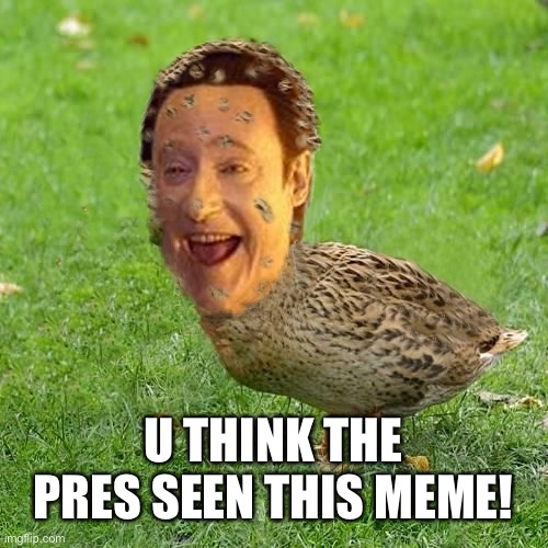 The Data Ducky | U THINK THE PRES SEEN THIS MEME! | image tagged in the data ducky | made w/ Imgflip meme maker