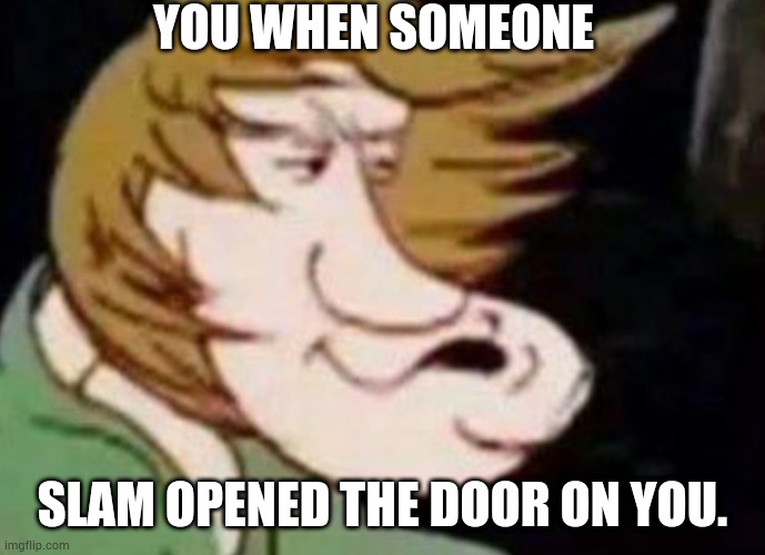 Dank Shaggy | YOU WHEN SOMEONE; SLAM OPENED THE DOOR ON YOU. | image tagged in dank shaggy | made w/ Imgflip meme maker