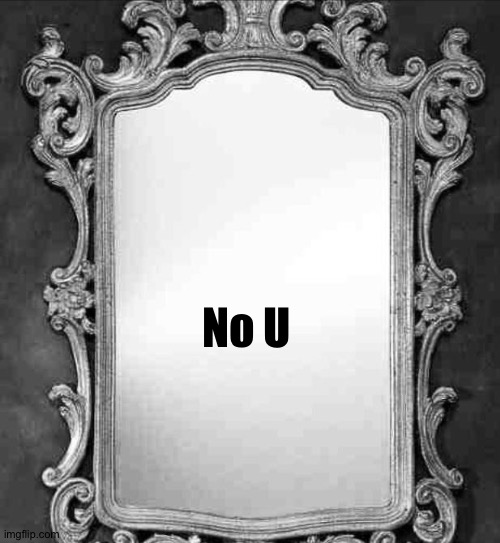 Mirror | No U | image tagged in mirror | made w/ Imgflip meme maker