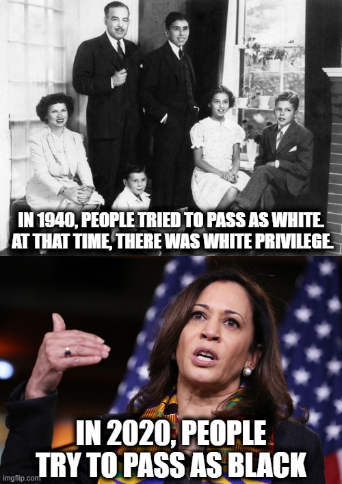IN 1940, PEOPLE TRIED TO PASS AS WHITE.  AT THAT TIME, THERE WAS WHITE PRIVILEGE. IN 2020, PEOPLE TRY TO PASS AS BLACK | image tagged in memes,stupid liberals,white privilege,kamala harris,election 2020 | made w/ Imgflip meme maker