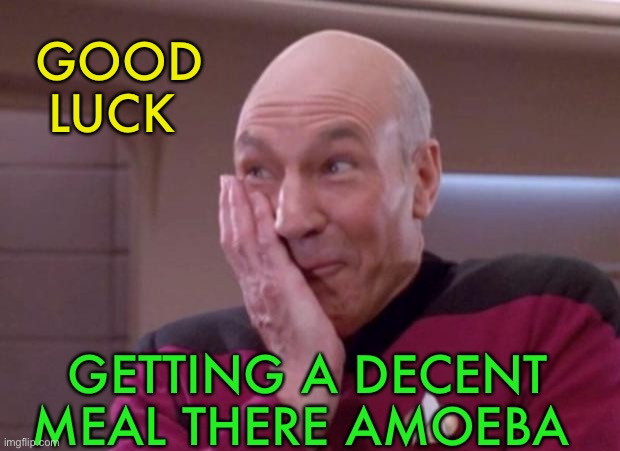 Picard smirk | GOOD LUCK GETTING A DECENT MEAL THERE AMOEBA | image tagged in picard smirk | made w/ Imgflip meme maker