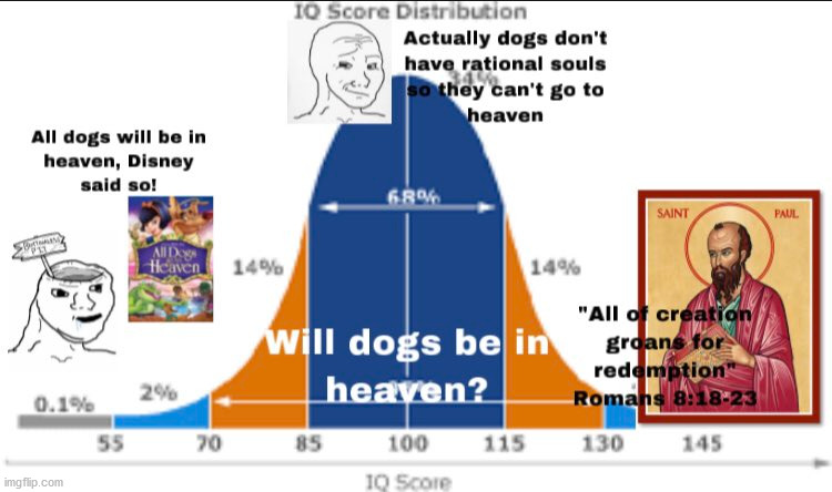 image tagged in dogs,iq,heaven,graph,bell curve | made w/ Imgflip meme maker