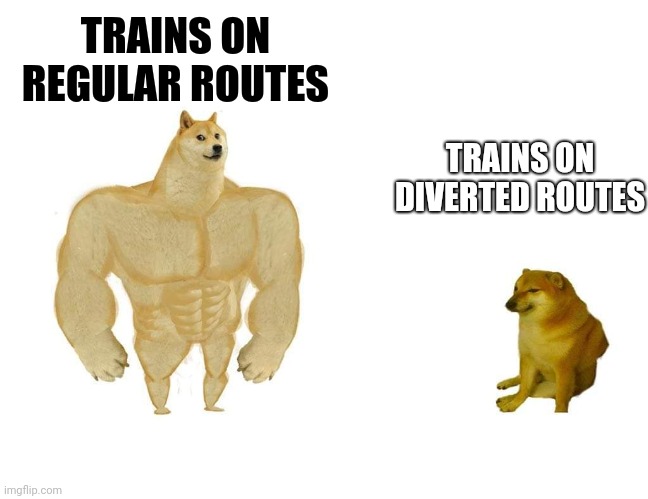 Doggo and cheems | TRAINS ON REGULAR ROUTES; TRAINS ON DIVERTED ROUTES | image tagged in doggo and cheems | made w/ Imgflip meme maker
