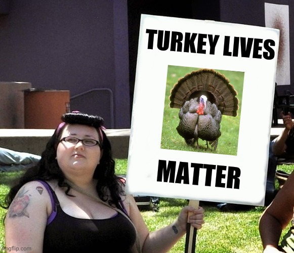 sjw with sign | TURKEY LIVES MATTER | image tagged in sjw with sign | made w/ Imgflip meme maker