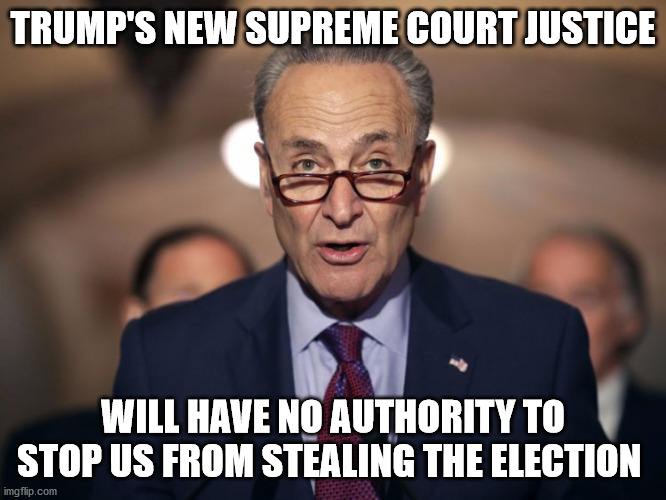 Idiot Chuck Schumer! | TRUMP'S NEW SUPREME COURT JUSTICE; WILL HAVE NO AUTHORITY TO STOP US FROM STEALING THE ELECTION | image tagged in idiot chuck schumer | made w/ Imgflip meme maker