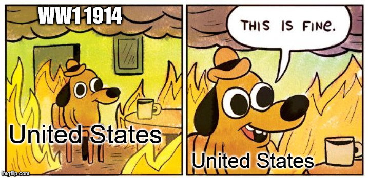 This Is Fine Meme | WW1 1914; United States; United States | image tagged in memes,this is fine | made w/ Imgflip meme maker