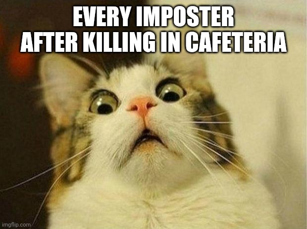 Scared Cat Meme | EVERY IMPOSTER AFTER KILLING IN CAFETERIA | image tagged in memes,scared cat | made w/ Imgflip meme maker