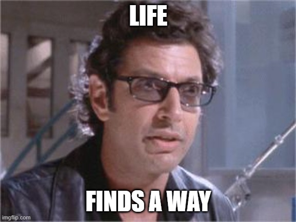 Life Finds A Way | LIFE; FINDS A WAY | image tagged in jeff goldblum | made w/ Imgflip meme maker
