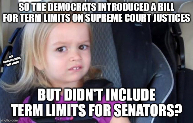Hypocrite much? | SO THE DEMOCRATS INTRODUCED A BILL FOR TERM LIMITS ON SUPREME COURT JUSTICES; OBX CRYBABIES/DRAIN THAT SWAMP; BUT DIDN'T INCLUDE TERM LIMITS FOR SENATORS? | image tagged in side eyeing chloe,term limits,supreme court,senate,hillary for prison | made w/ Imgflip meme maker
